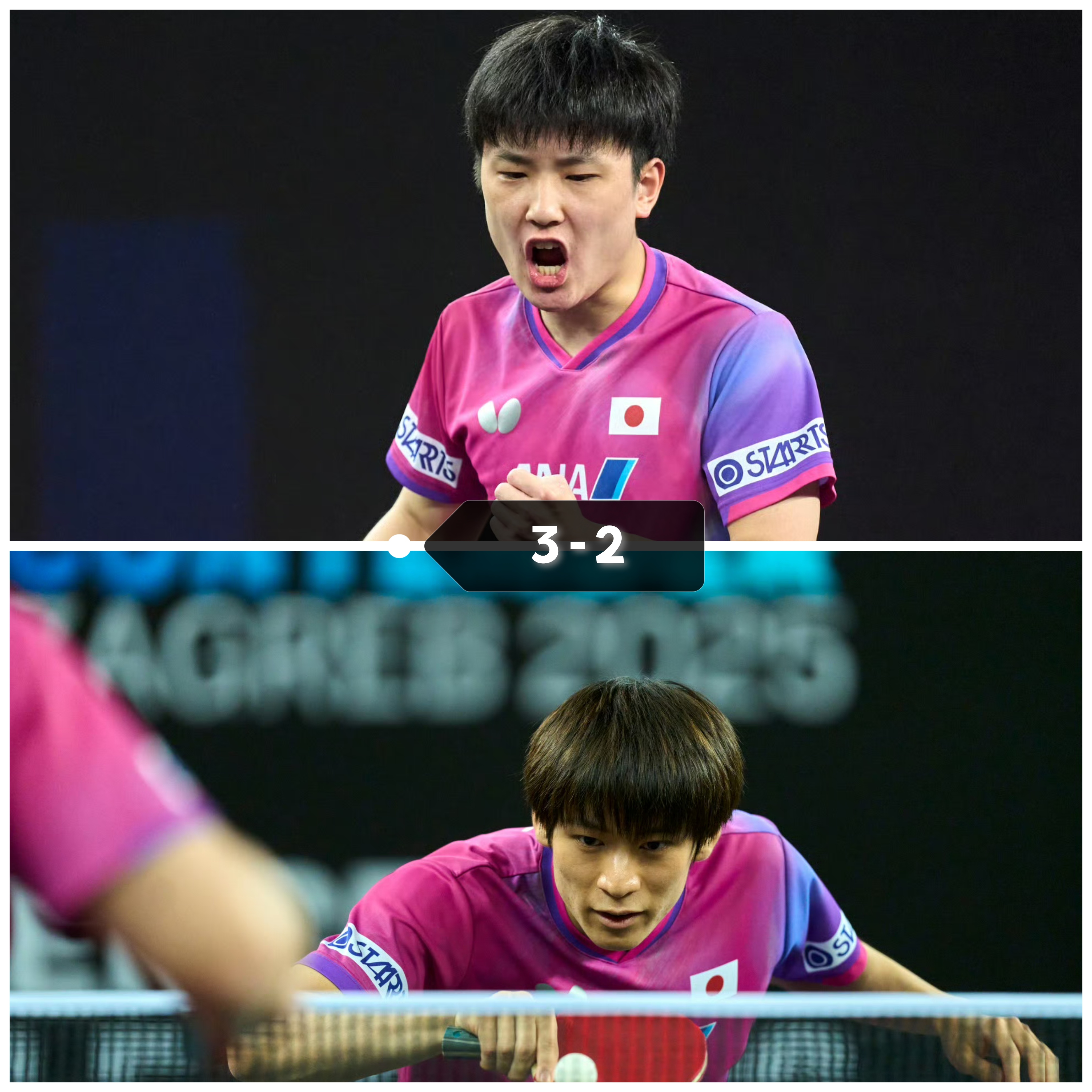 爱游戏在线-关于英格兰队逆转法国队，张本智和惊艳四座的信息