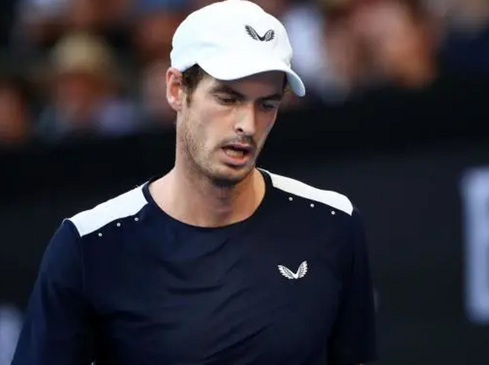 澳网横扫年终总决赛，穆雷惊艳四座