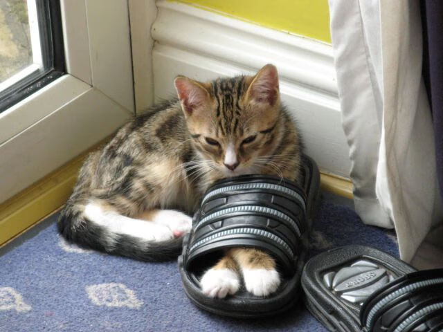 东方试炼场上的西方利刃，阿什拉夫一锤定音，多特蒙德惊险破日