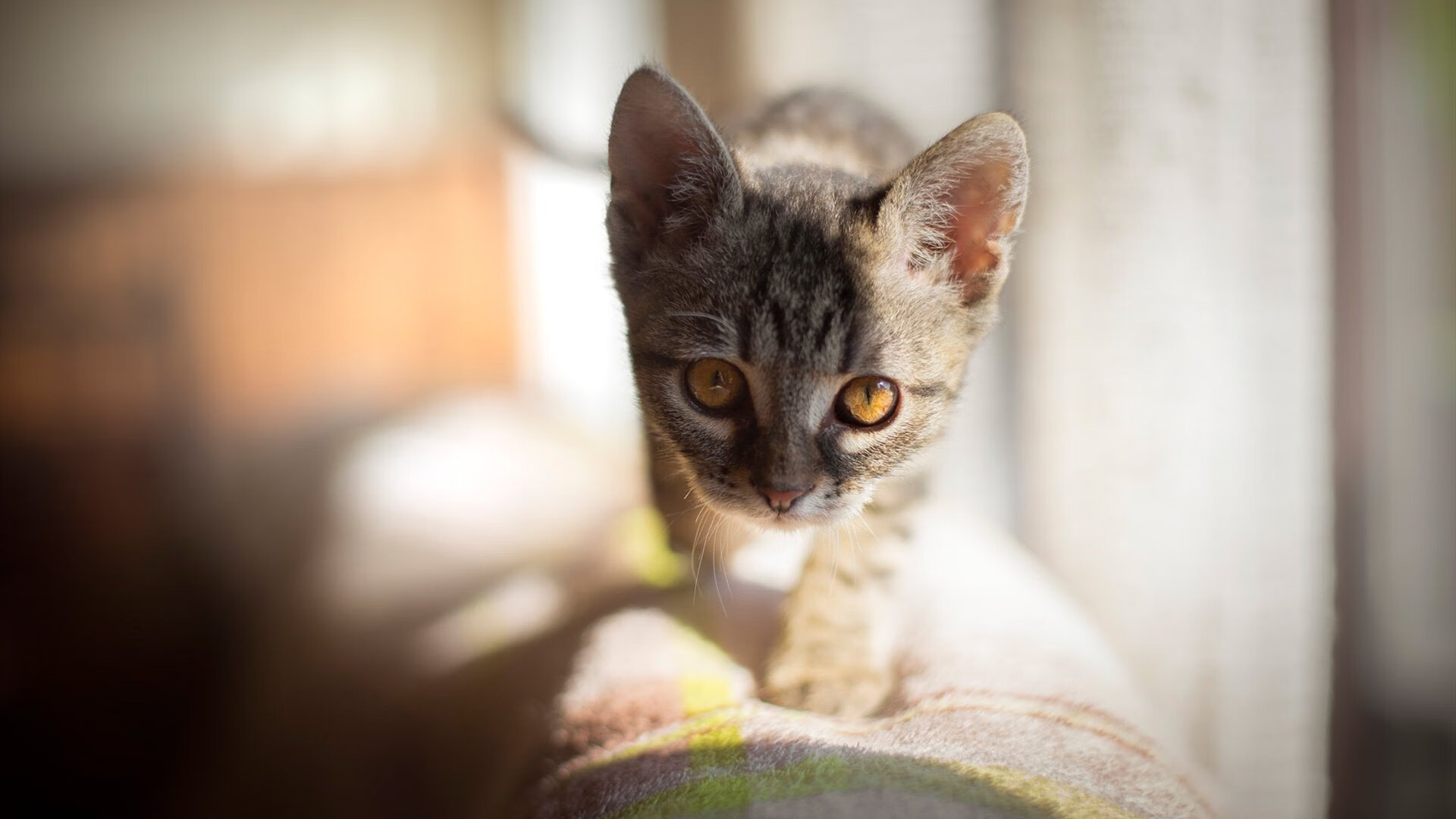 断剑重铸之日,死神登基之时