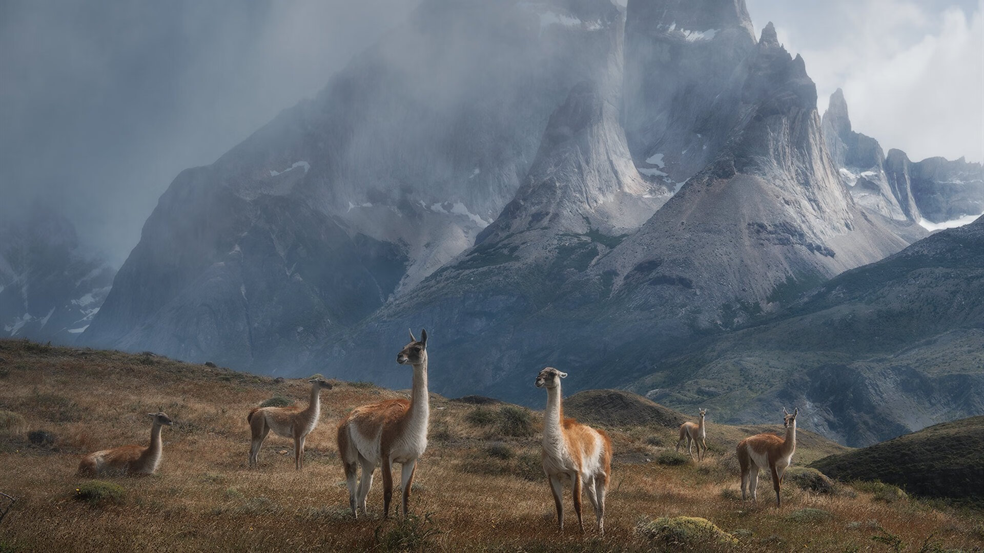 爱游戏-惊天爆发！赖斯双响助尼日利亚强行终结阿尔及利亚死亡之组悬念