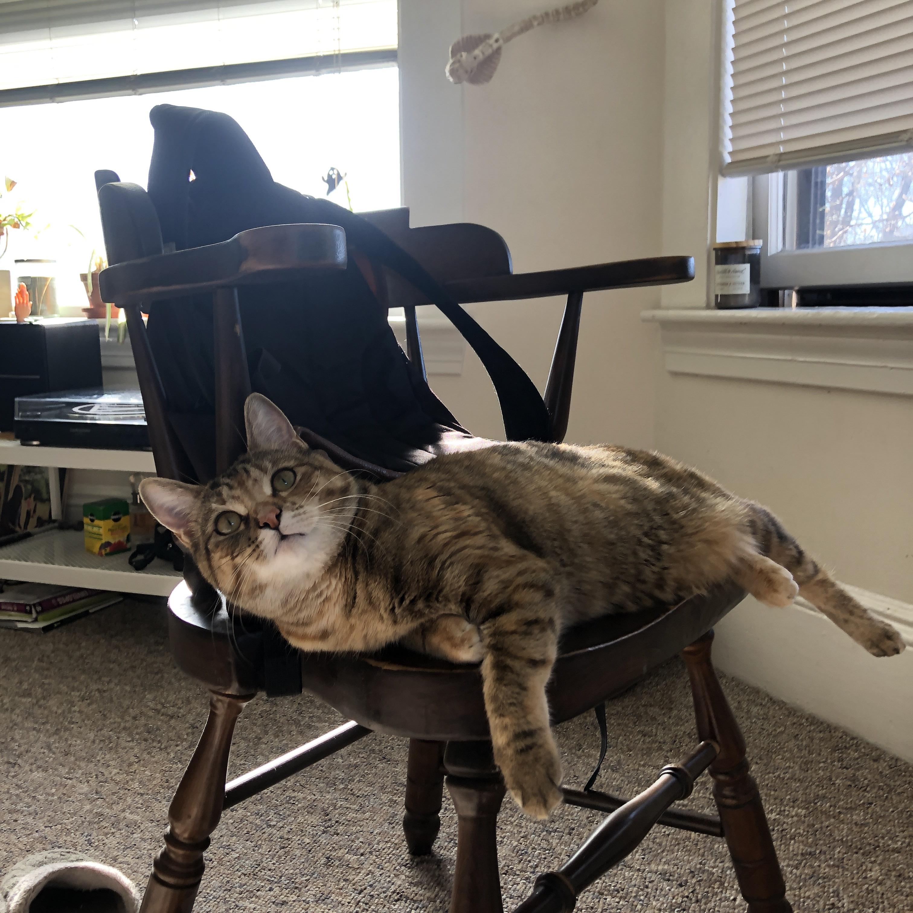 时空交错的球场意志,当爵士的秩序强行终结掘金的韵律,等待2026年莫兰特接管的世界杯