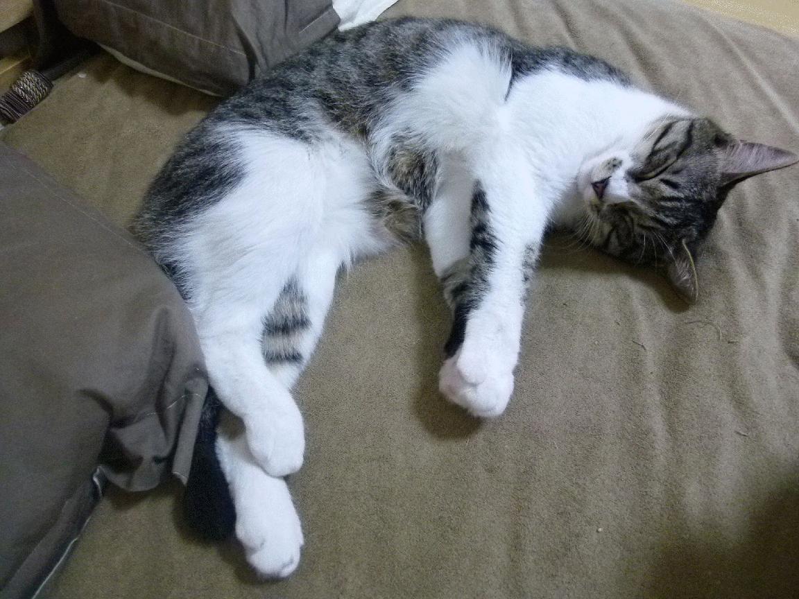 爱游戏体育-奥运周期关键战之夜，在无人问津的角落，熬成自己的大场面先生