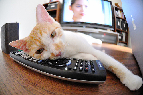 罗马军团降临圣地亚哥,当库尔图瓦在欧冠决赛化身帝国守护神