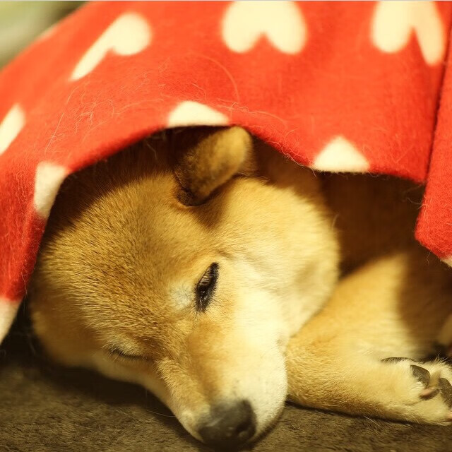 降维打击，哈登用一场比赛为鹈鹕防守写下墓志铭