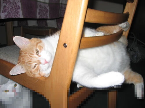 战吼无声,浓眉于世界排名争夺战的夜晚证明所有喧哗皆为徒劳