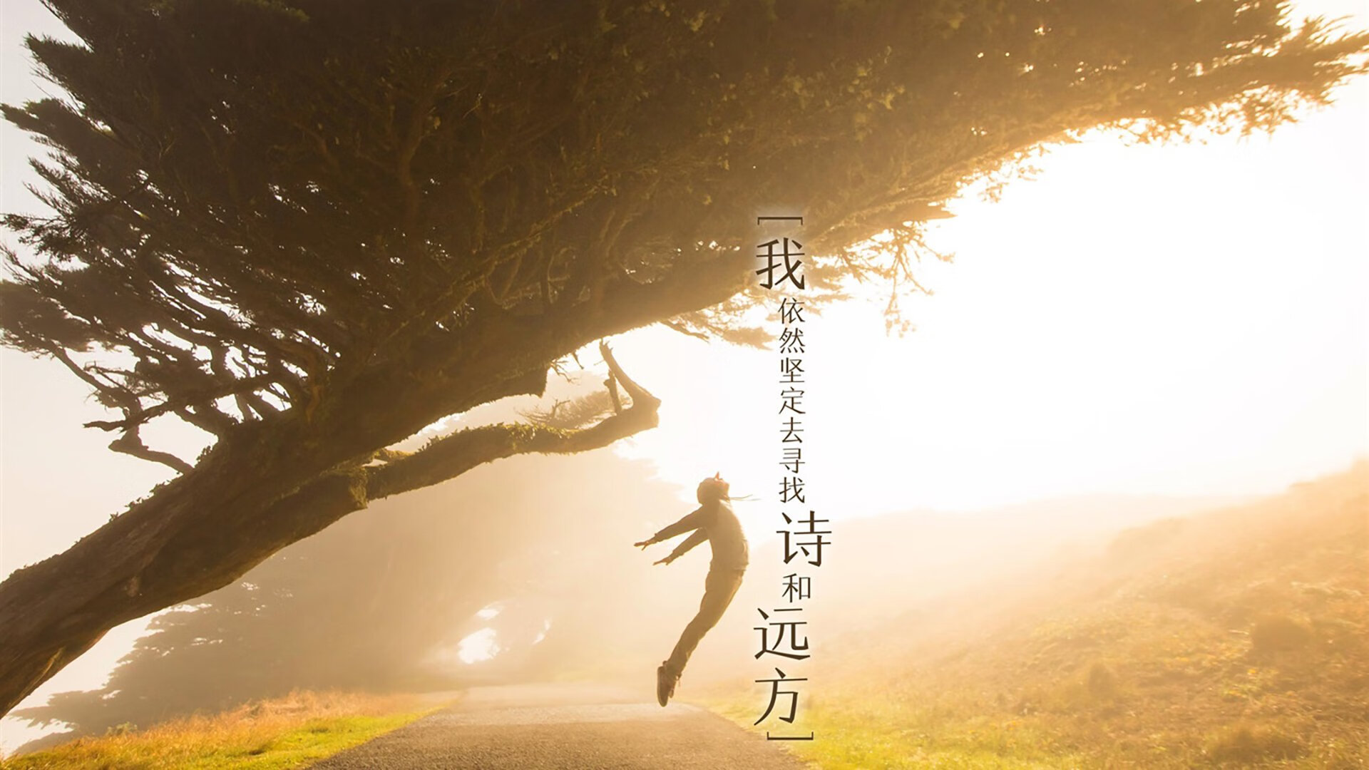 寒冷多伦多猛龙主场,76人新星杰伦·格林却似极光般耀眼