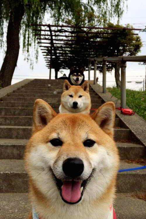 爱游戏大厅-从贝洛奥里藏特到圣西罗，特奥的绿色闪电如何在鏖战中劈开胜利