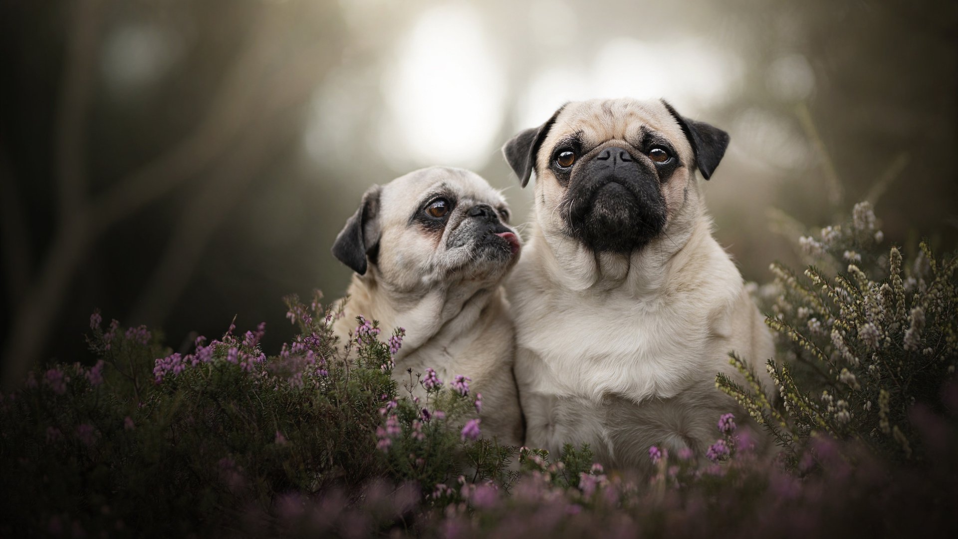 文班亚马爆发快船晋级雄鹿出局，今夜，篮球的三种时态