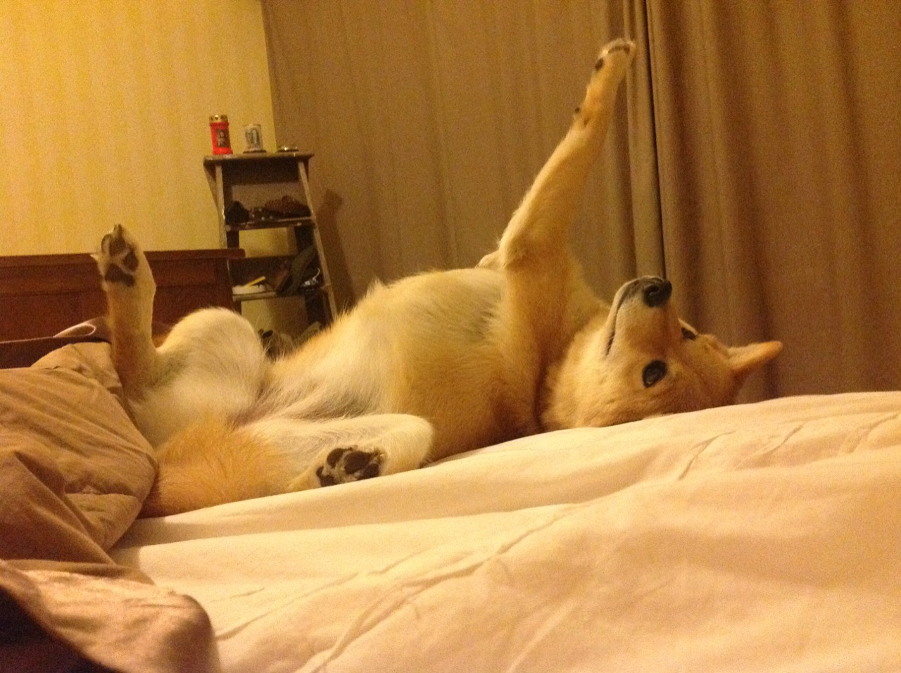 洪水猛兽,米切尔肆虐内线,勇士铁桶阵绞杀山西外线风暴