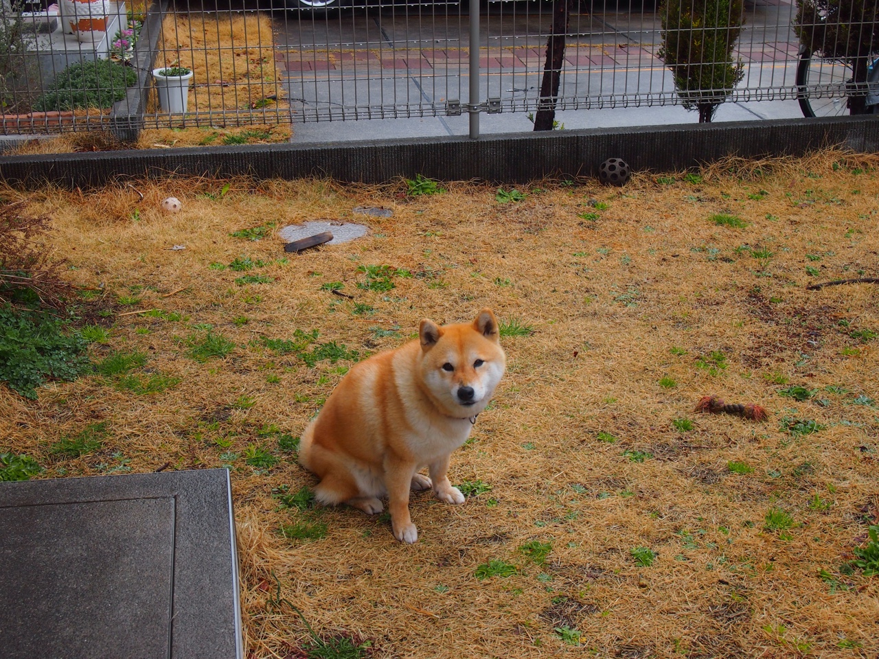 赛道与球场，当开拓者以F1的精准超越马刺的防线