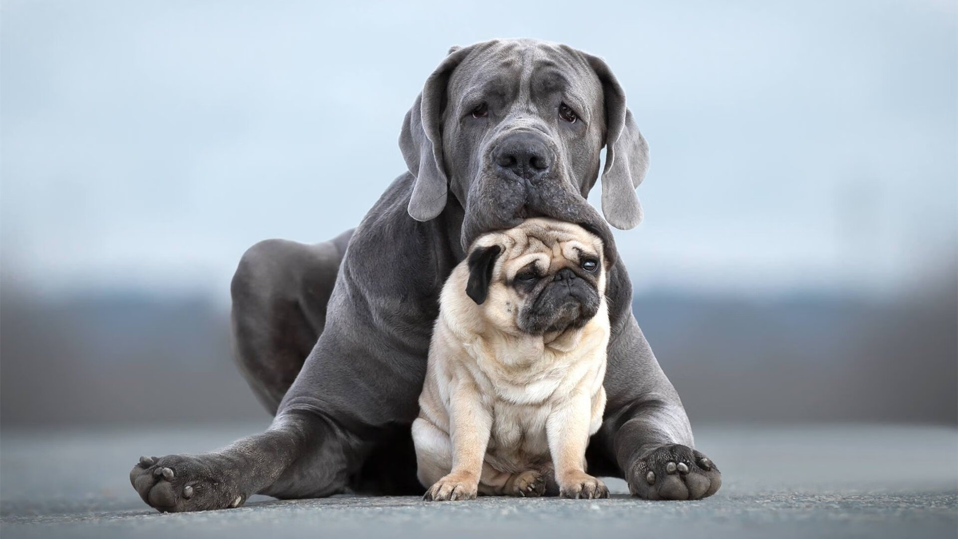 孤星燎原，格列兹曼一己之力点燃马里亚纳，掀翻摩纳哥铁壁