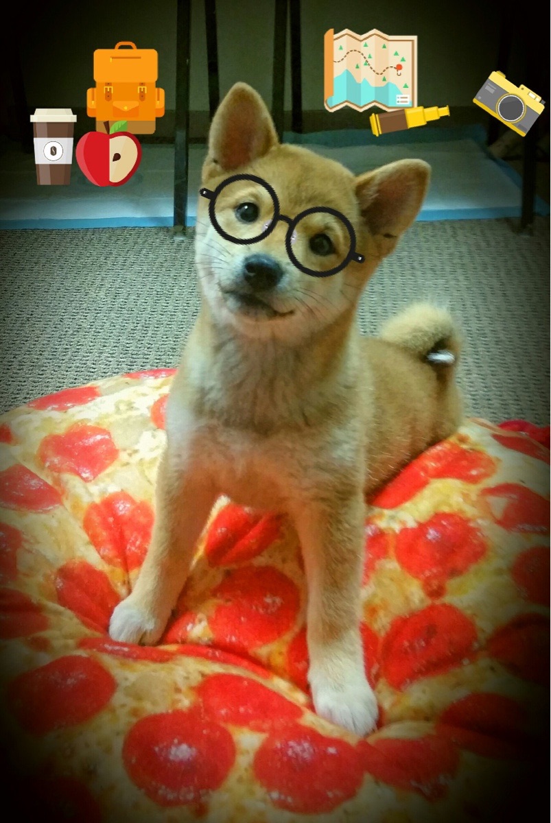 冰与火之歌,哈利伯顿的个人艺术与篮网的节奏哲学