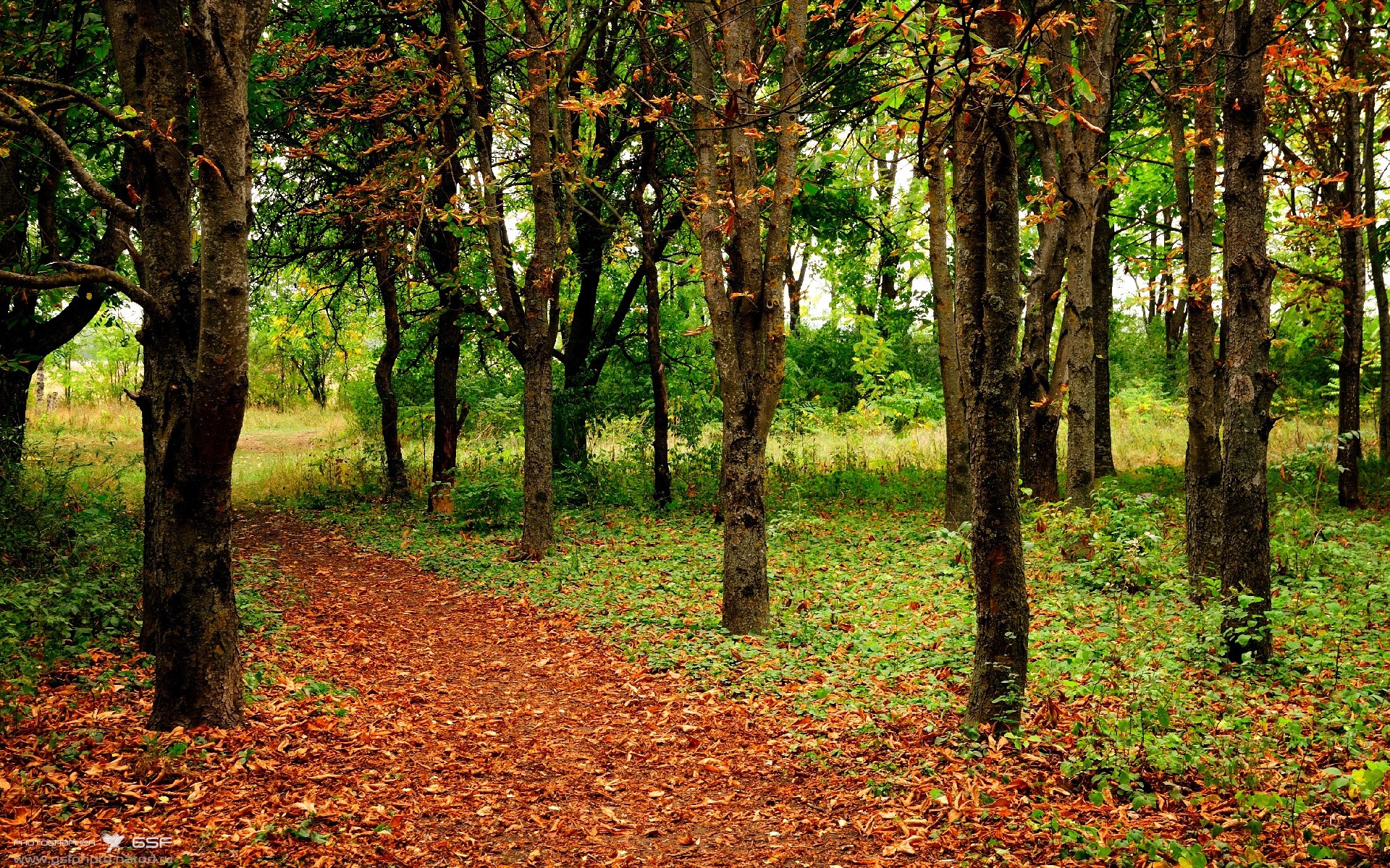 疆厦对决，乔治的生涯之夜与广厦的意外之喜