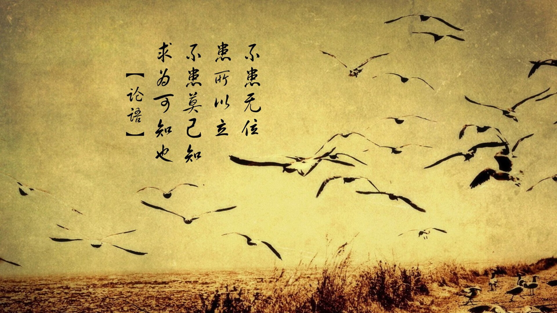 北欧风暴席卷温布利,挪威完美防反击溃三狮,维尼修斯成隐藏王牌引爆G组悬念