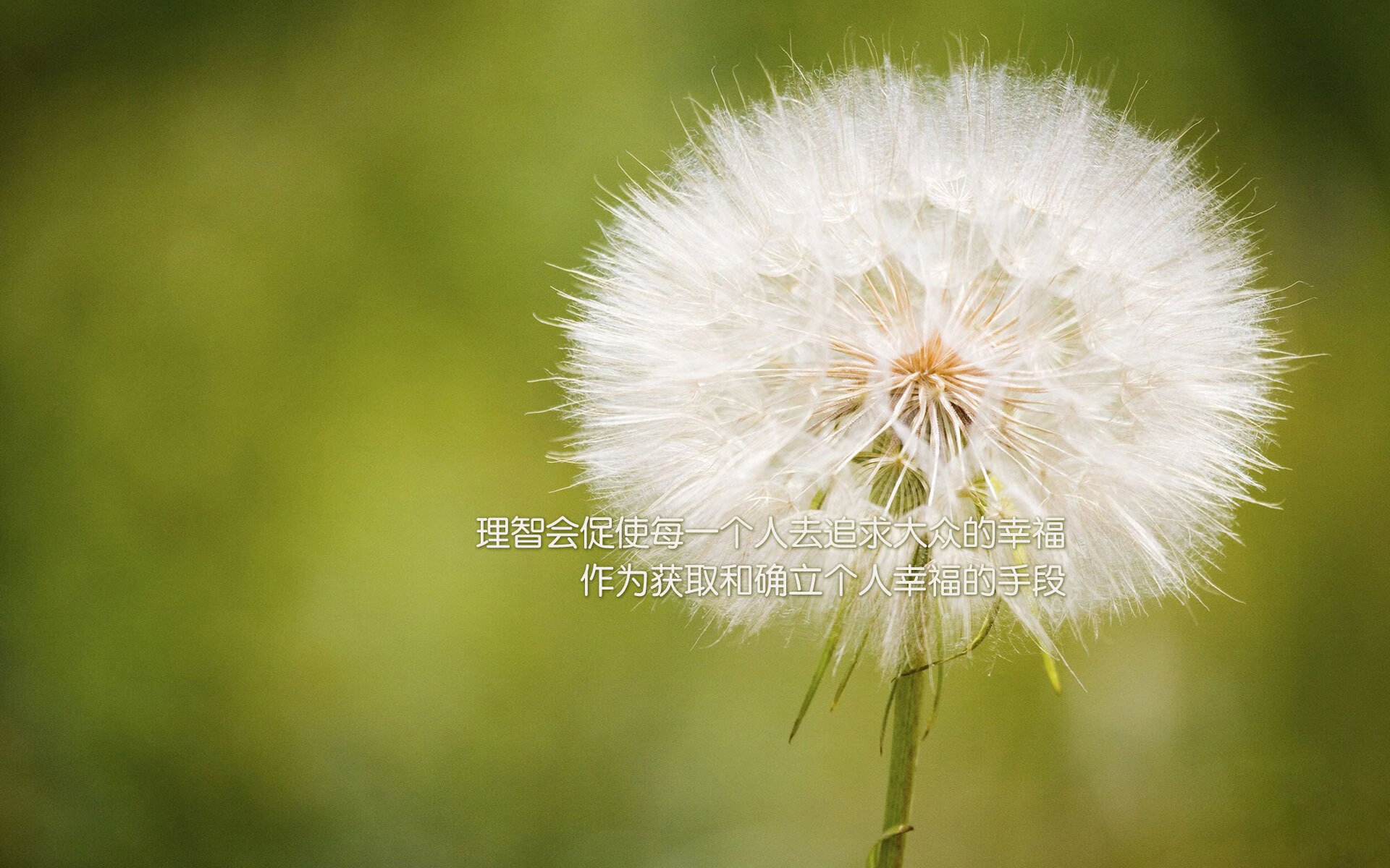 沙漠之鹰的致命羽翼，2026世界杯揭幕战，伊拉克绝杀瑞士，内马尔完成致命一击