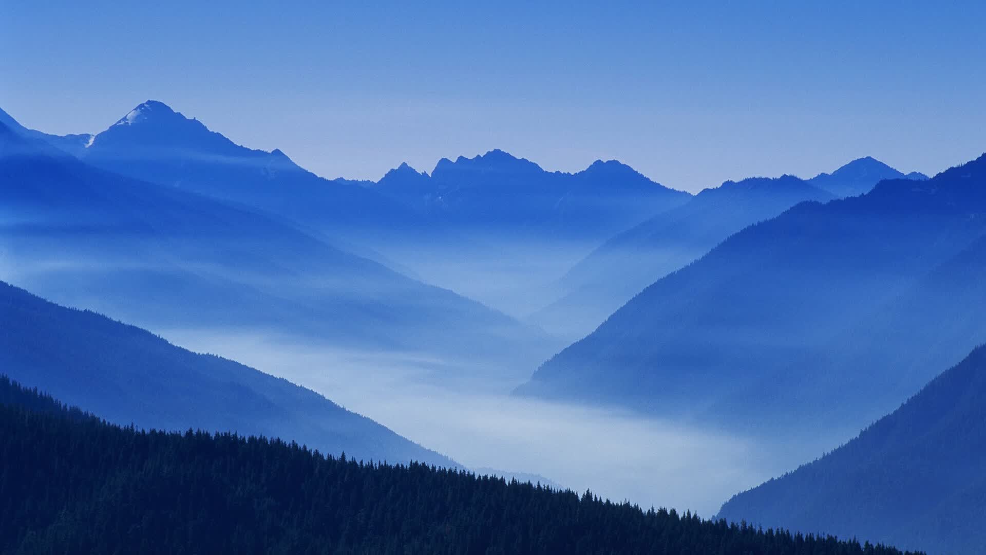 桑巴铁壁，2026世界杯淘汰赛最强穿刺，巴西用防守反击刺穿捷克，萨卡一战封神