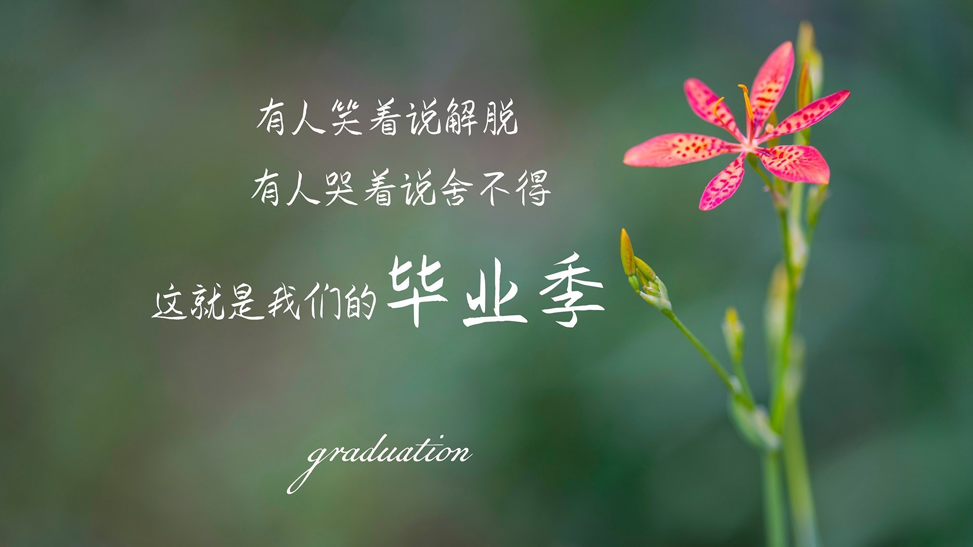 爱游戏官方入口-构思